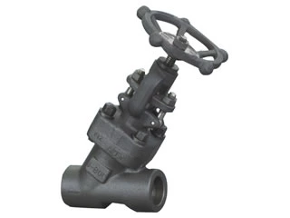 Y-pattern Globe Valve